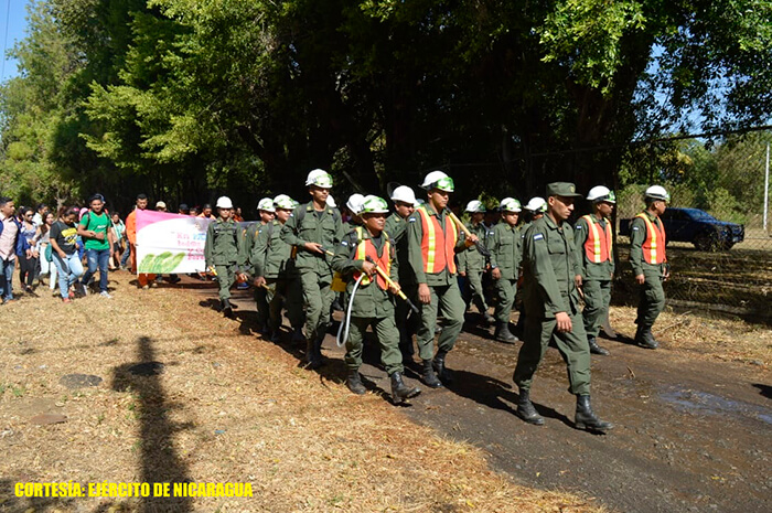 plan-prevencion-incendios-forestales-leon